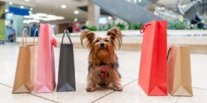 Small dog sitting between a bunch of shopping bags on the ground